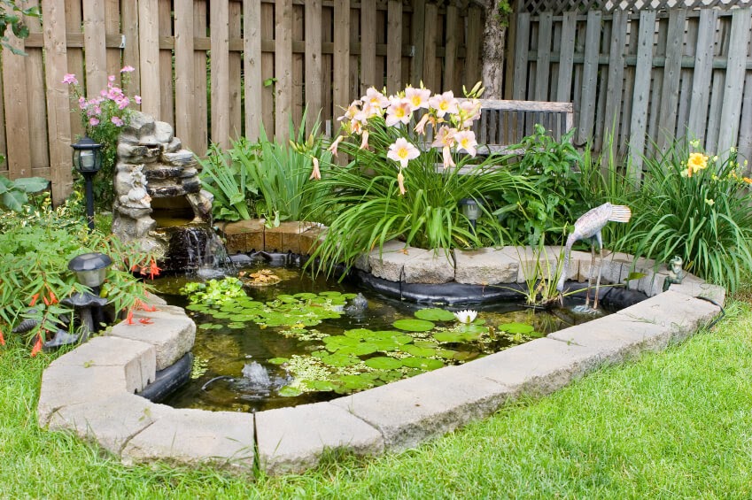 Trang trí hồ của bạn với đá và cây 2