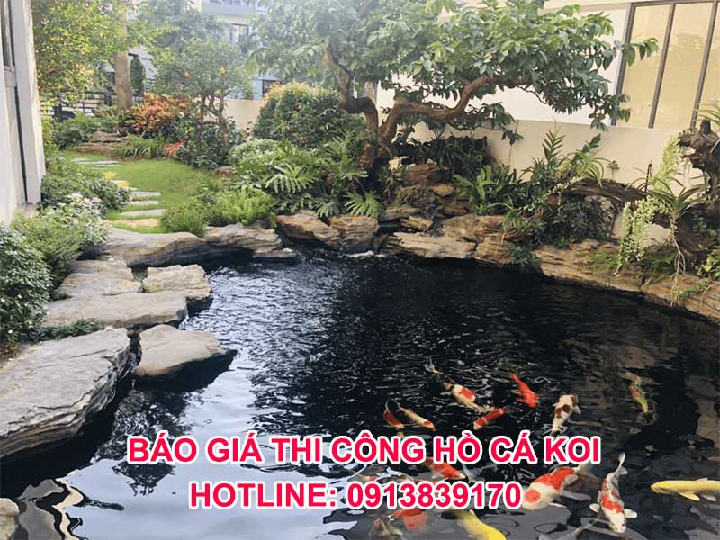 báo giá thi công hồ cá koi