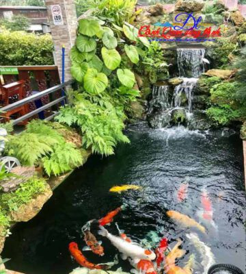 bộ lọc hồ cá koi