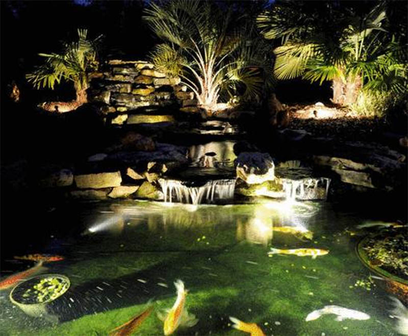 đèn chiếu sáng hồ cá koi