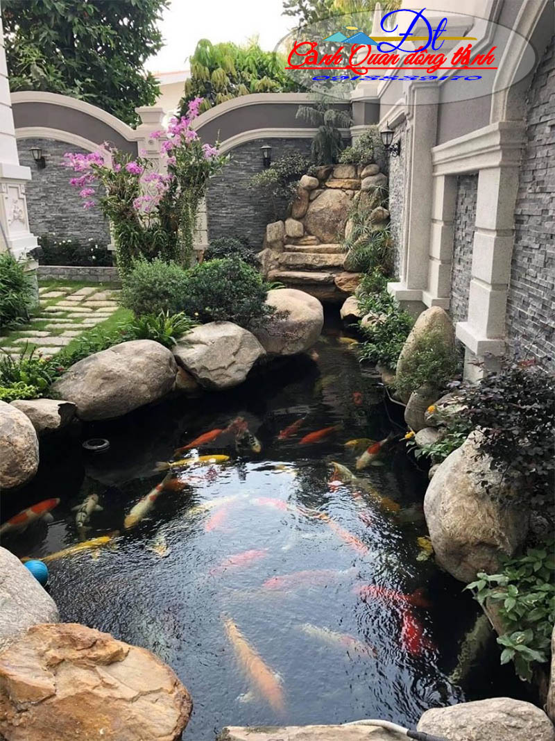 Hồ cá koi Bình Dương