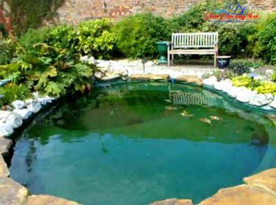 Hồ cá koi Bình Phước