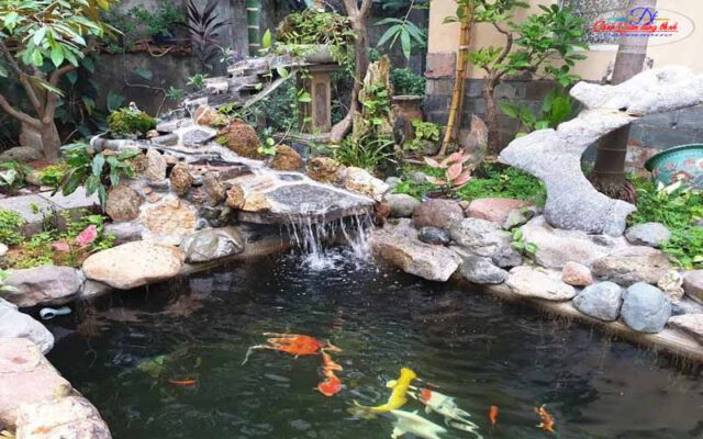 sưởi ấm hồ cá koi