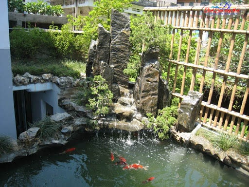Hồ cá koi sân vườn Nha Trang