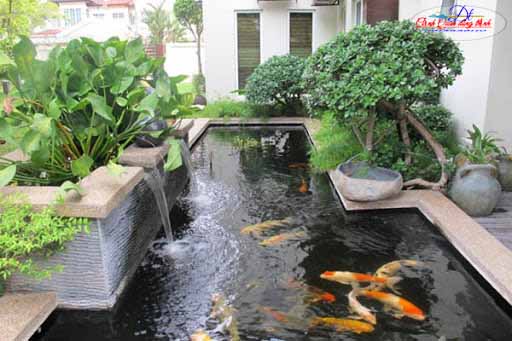 hồ cá koi trong nhà đẹp