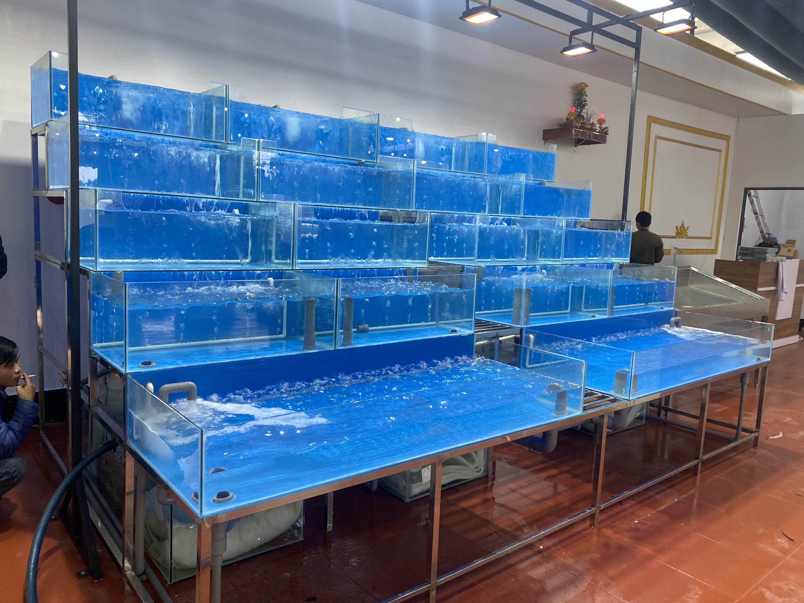 Hồ hải sản - Nâng Tầm Trải Nghiệm Ẩm Thực Hải Sản