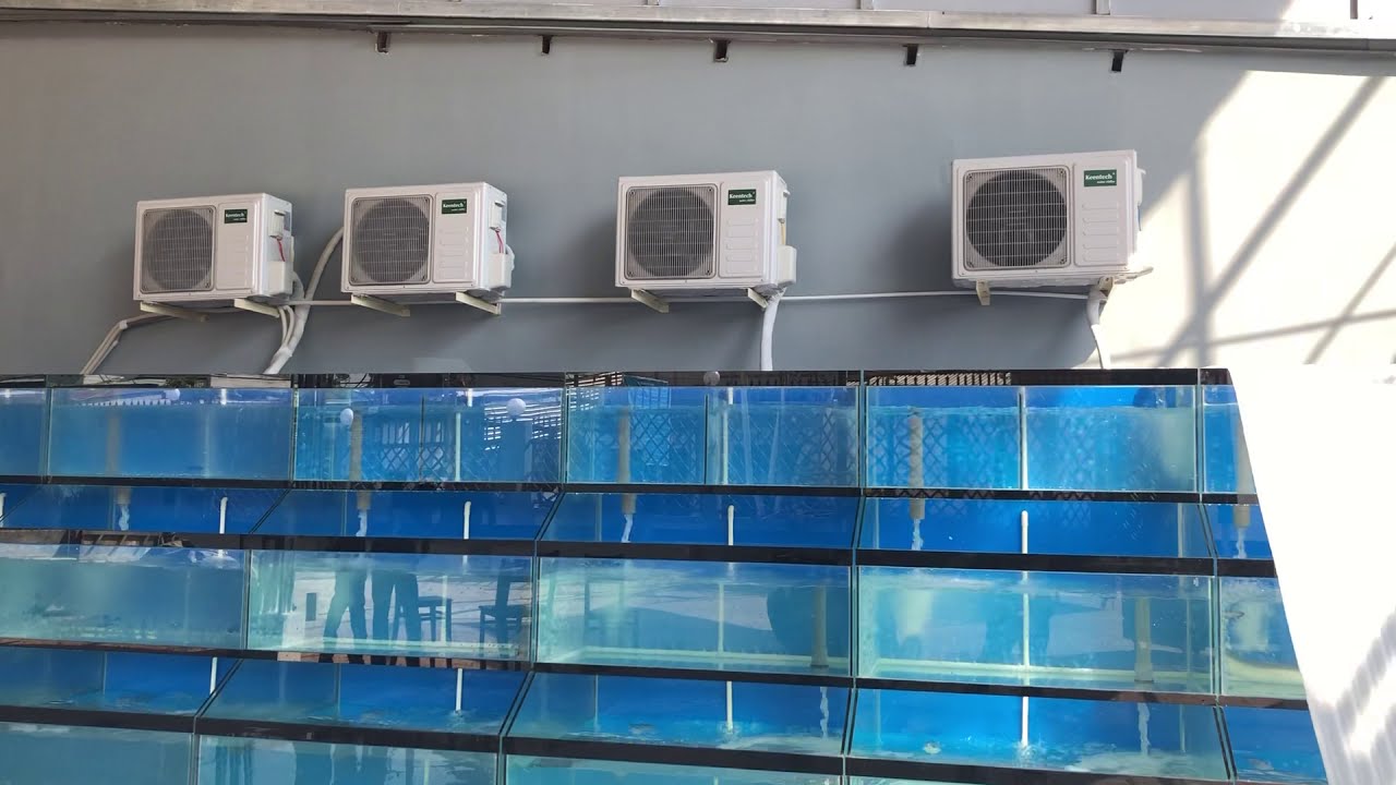 Hồ hải sản - Nâng Tầm Trải Nghiệm Ẩm Thực Hải Sản