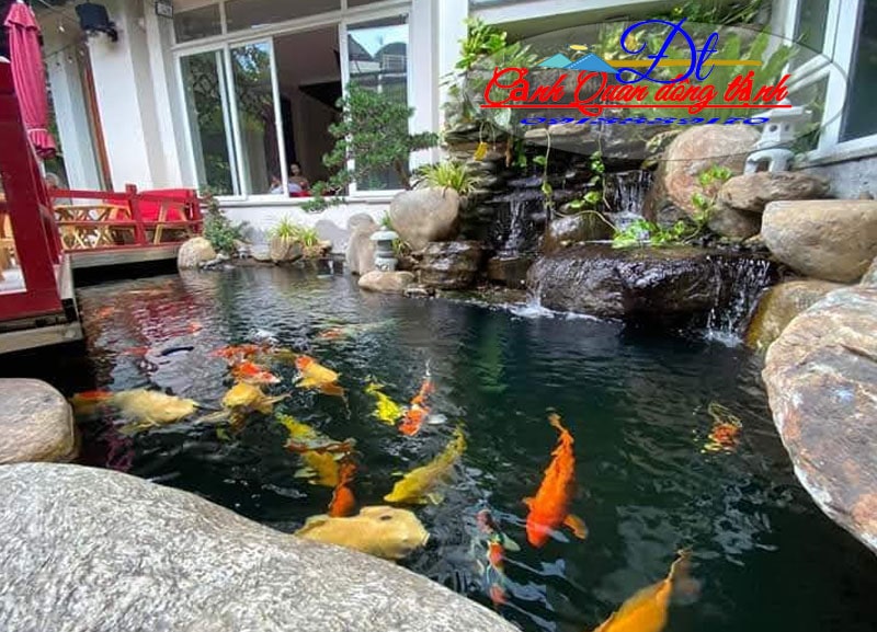 Mẫu hồ cá koi đồng nai 20251