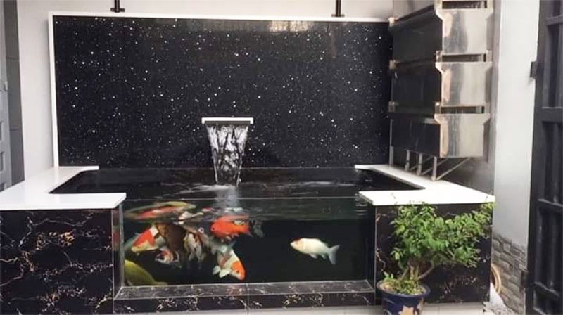 mau ho ca koi mini dep 07