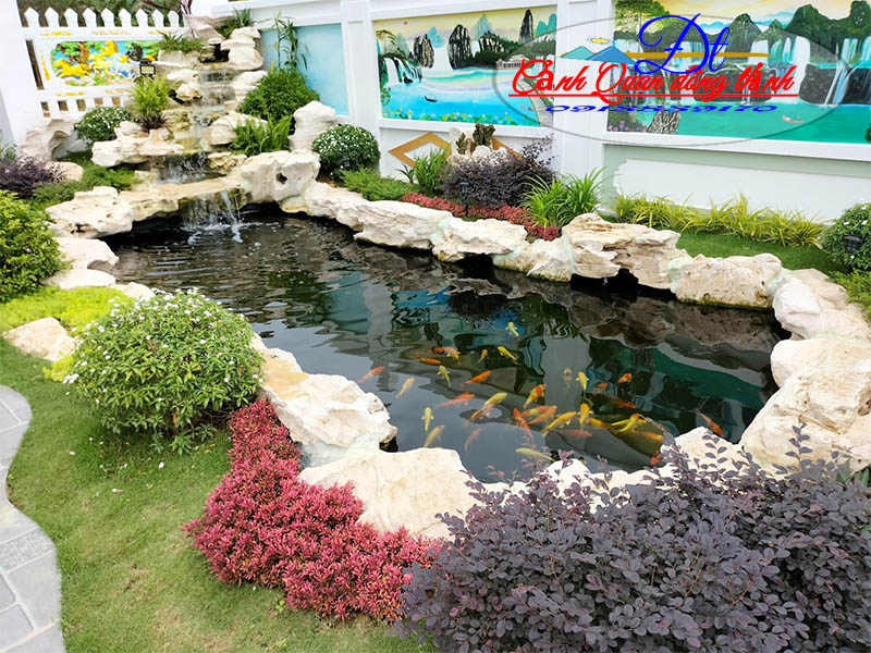 mẫu thiết kế hồ cá koi đẹp 12