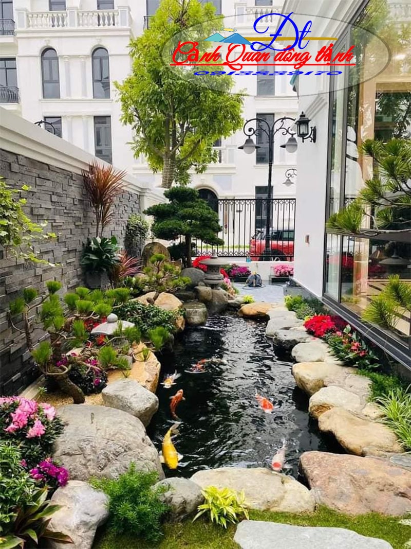 mẫu thiết kế hồ cá koi đẹp 3