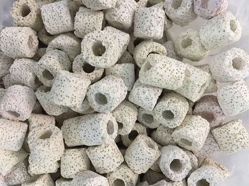 sứ lọc hồ cá koi