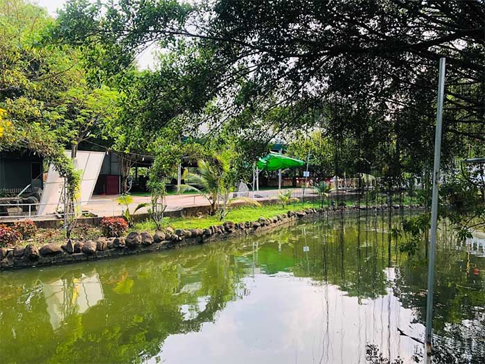 Thảo Nguyên Xanh Coffee Biên Hòa