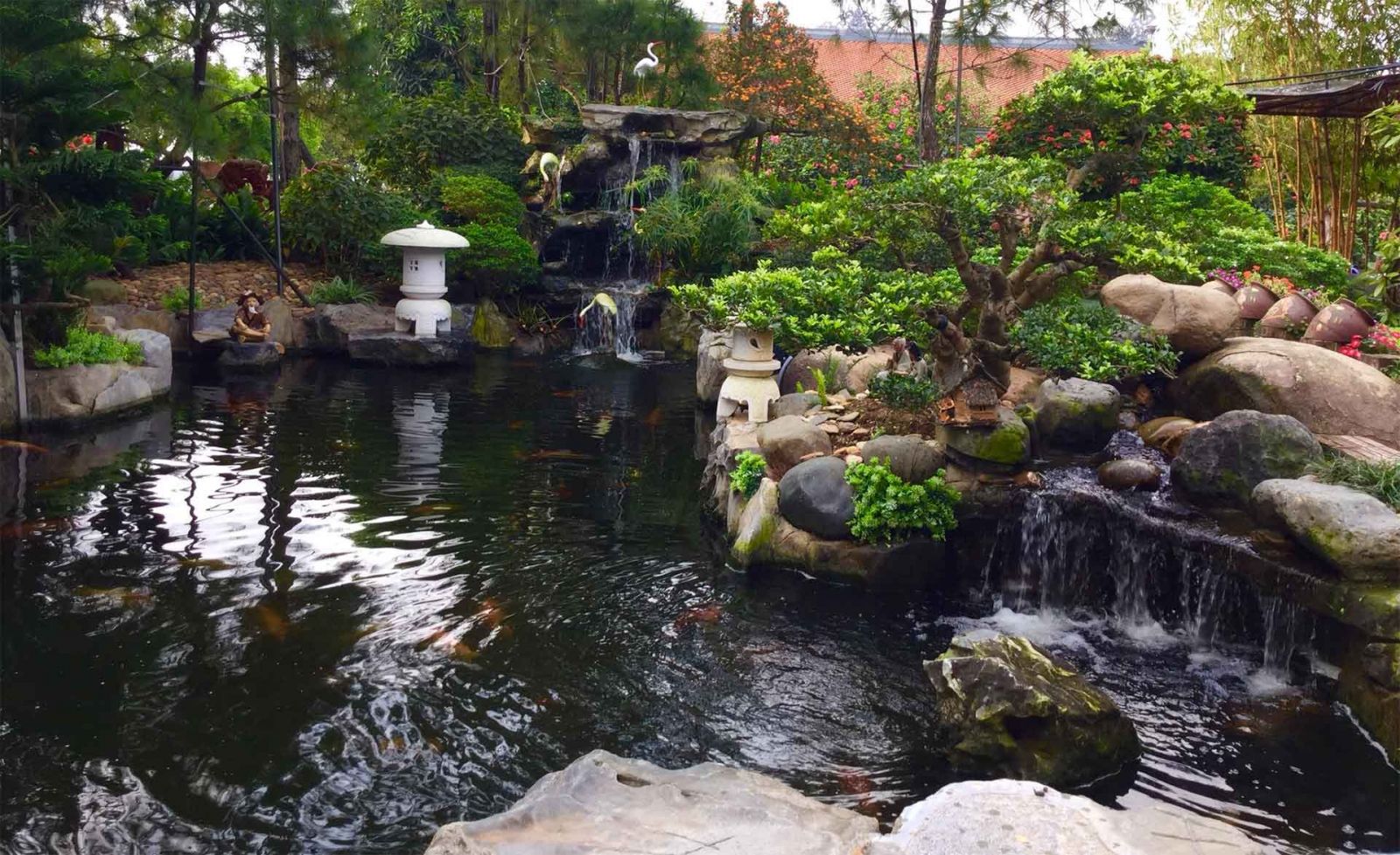 Thi Công Hồ Cá Koi An Giang - Khám Phá Nghệ Thuật Và Kỹ Thuật Tại Miền Tây