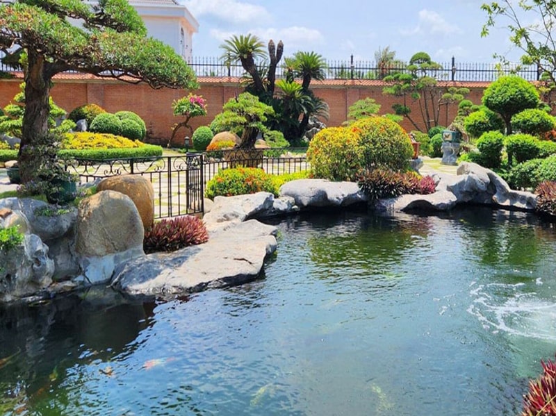 thi công hồ cá koi bà rịa vũng tàu 2