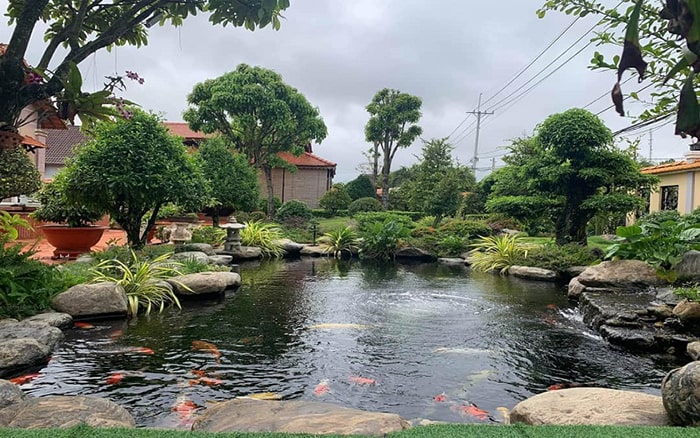 thi công hồ cá koi tiền giang 202501