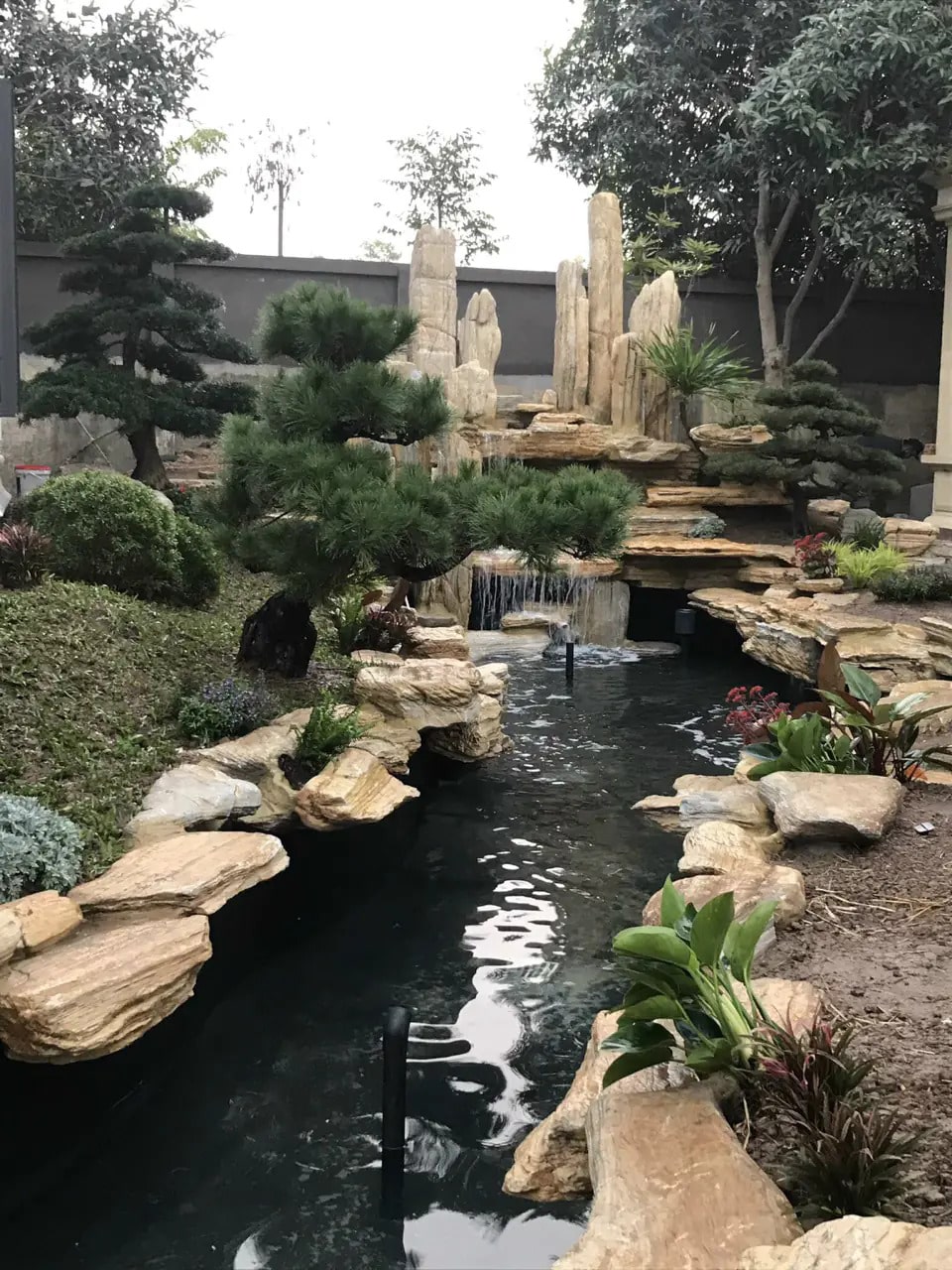 thiết kế hồ cá koi 14