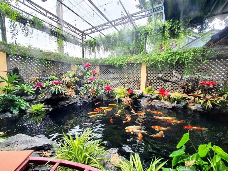 thiết kế hồ cá koi 18