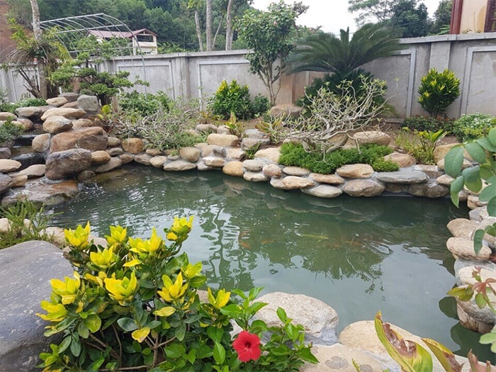 thiết kế hồ cá koi 19