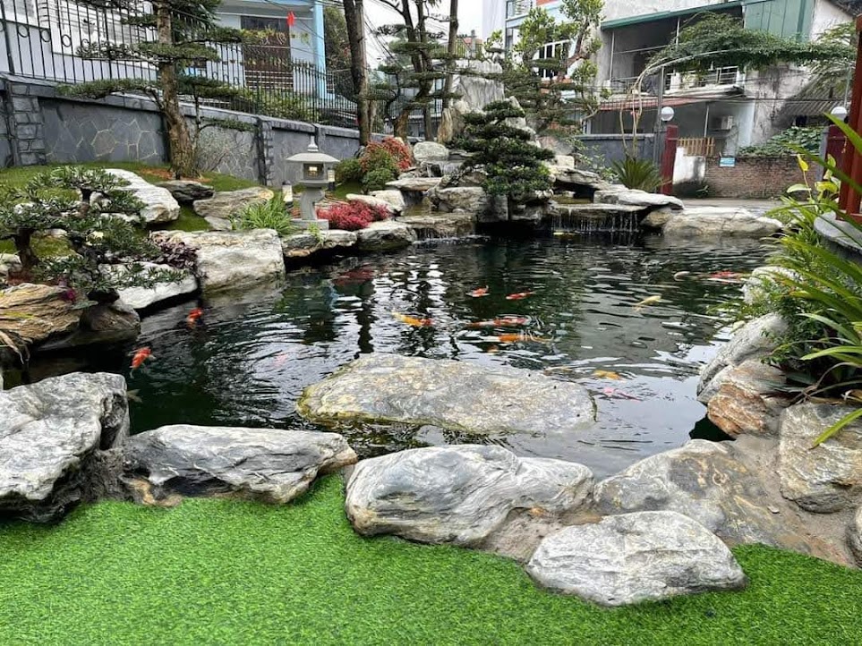 thiết kế hồ cá koi 6