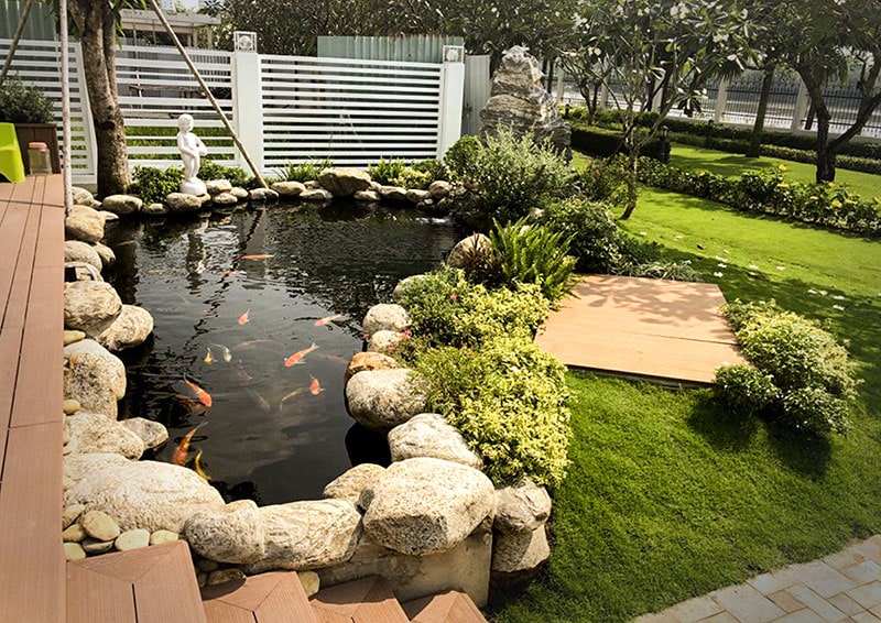 thiết kế hồ cá koi 7