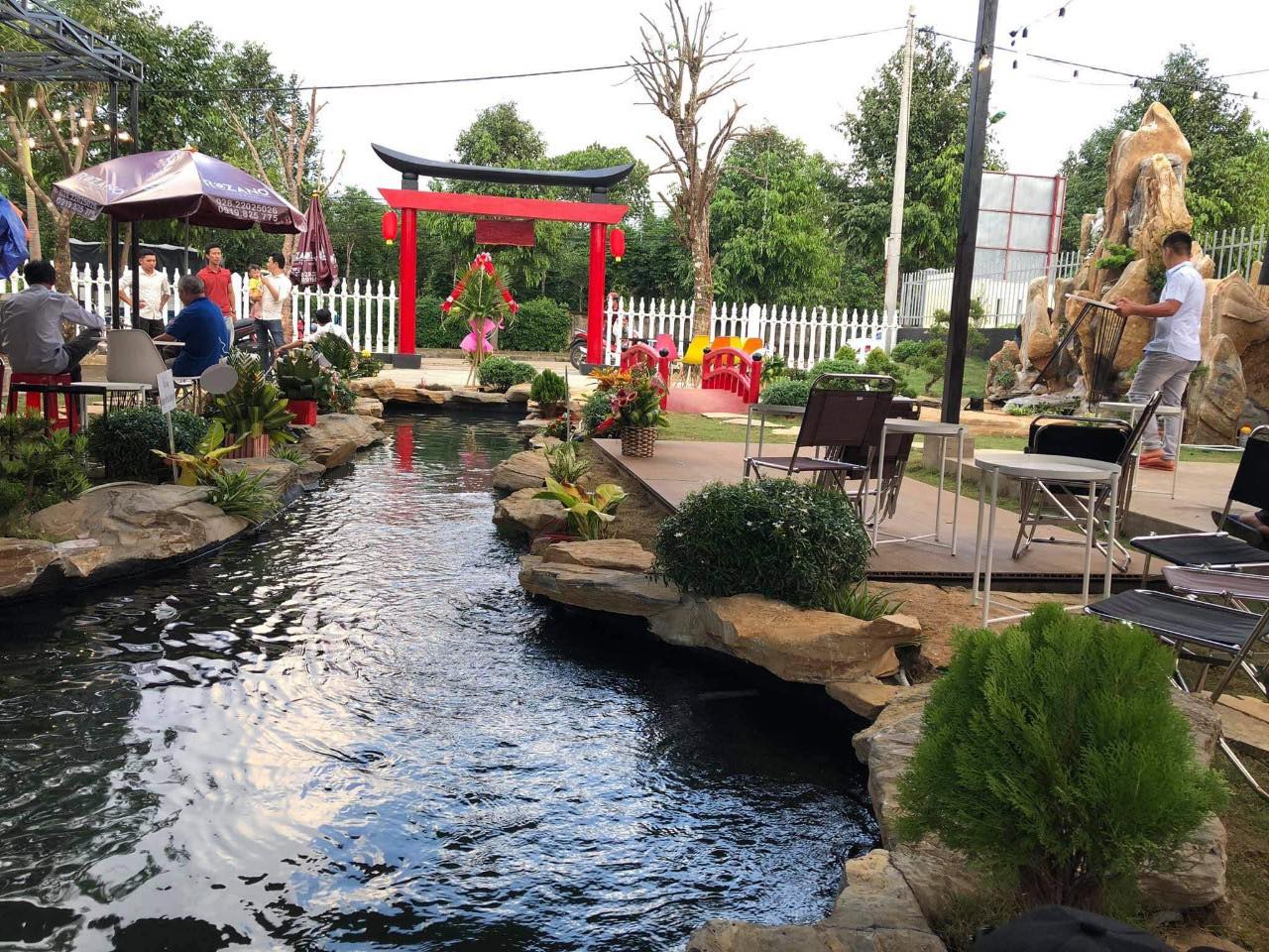 thiết kế hồ cá koi 9