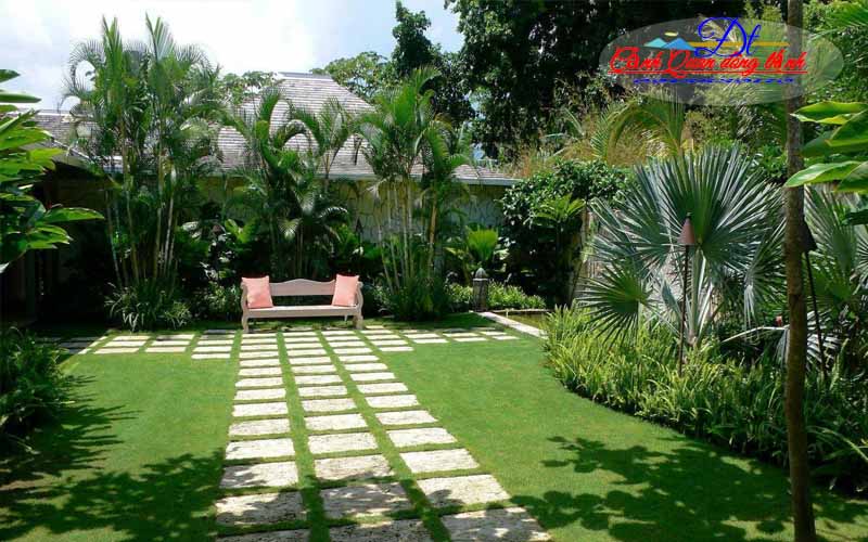 Thiết kế thi công sân vườn tại Tây Ninh. Ảnh 2