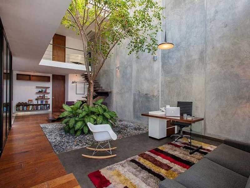 tiểu cảnh giếng trời 5