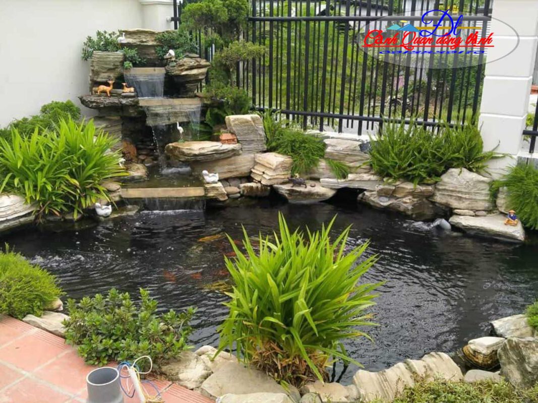 tiểu cảnh hồ cá koi quận 7