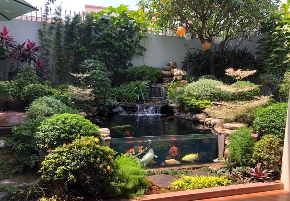 tiểu cảnh hồ cá koi tây ninh