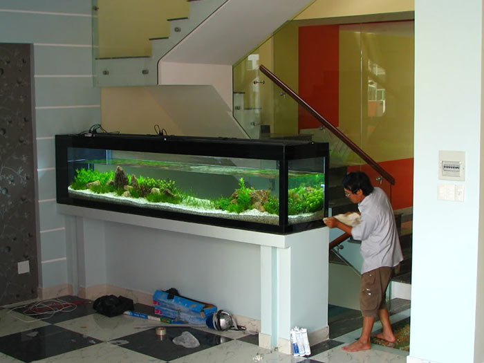 Tiểu cảnh hồ cá trong nhà 10