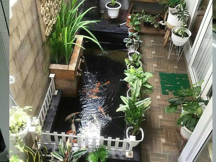 Tiểu cảnh hồ cá trong nhà 5