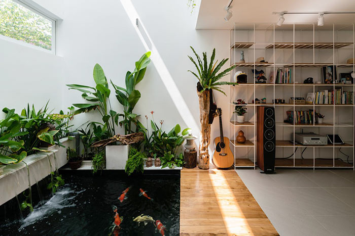 Tiểu cảnh hồ cá trong nhà 6