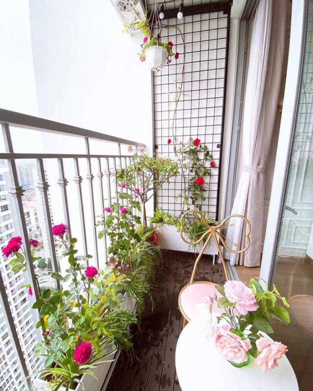 Trang trí ban công M1