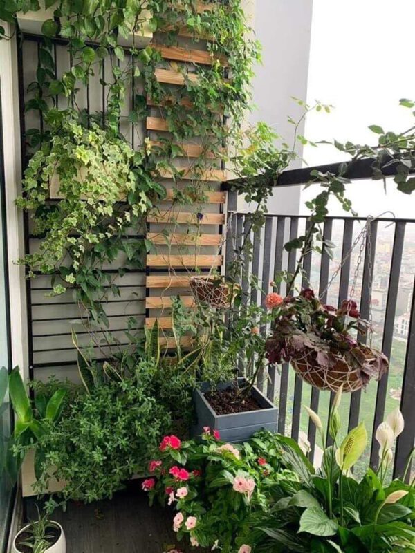Trang trí ban công M3